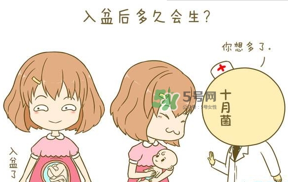 胎兒不入盆怎么辦？胎兒不入盆能順產嗎？