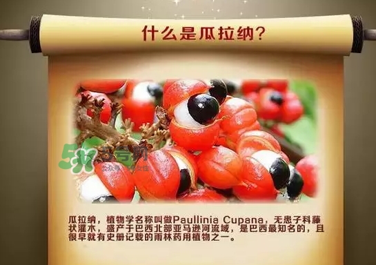 黑卡飲料多少錢一瓶？黑卡6小時價格表