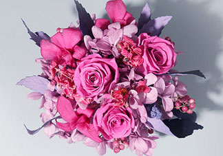 joyflower是哪國品牌？joyflower怎么樣？