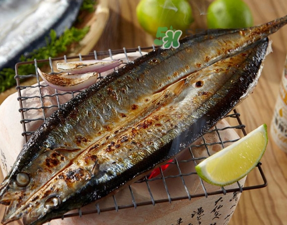 秋刀魚有刺嗎？秋刀魚刺多嗎？