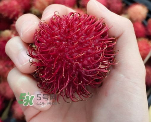 紅毛丹是什么水果？紅毛丹是熱性水果嗎？