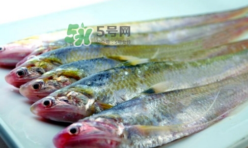 刁子魚(yú)是秋刀魚(yú)嗎？刁子魚(yú)是海魚(yú)嗎？