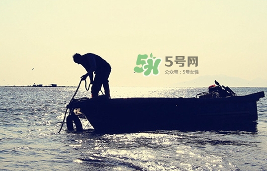 剝皮魚孕婦可以吃嗎？懷孕可以吃剝皮魚嗎？