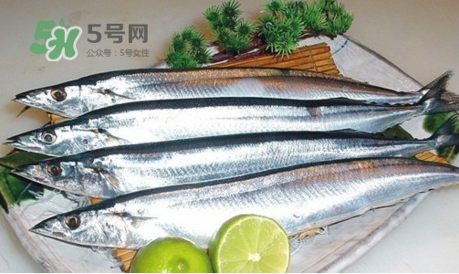 沙丁魚和秋刀魚有什么不一樣？秋刀魚和沙丁魚的區別