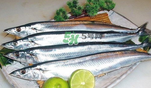 秋刀魚是刀魚嗎？秋刀魚和刀魚的區(qū)別