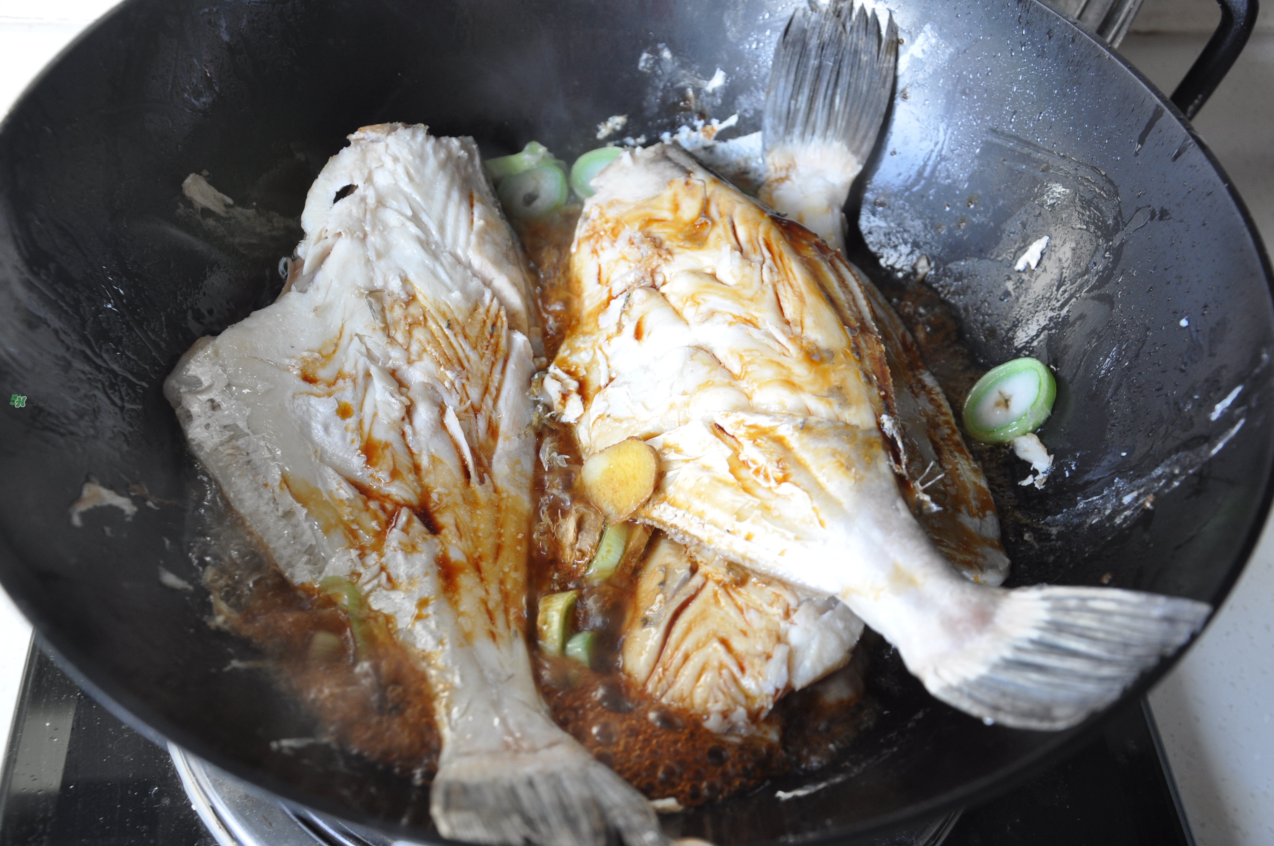 剝皮魚孕婦可以吃嗎？懷孕可以吃剝皮魚嗎？