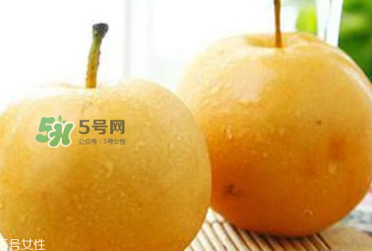 圓黃梨好吃嗎？圓黃梨的功效與作用