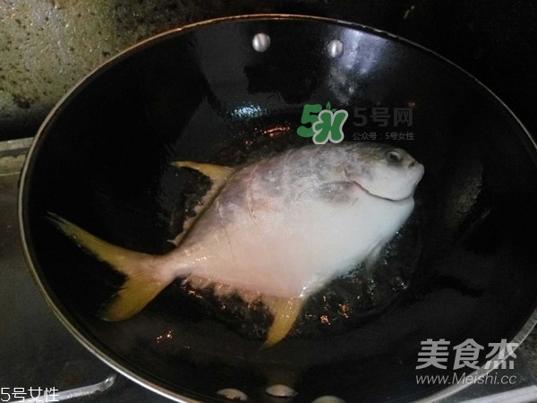 金鯧魚是海魚嗎？金鯧魚的刺多嗎？