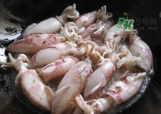 筆管魚是魷魚嗎？筆管魚和魷魚的區別
