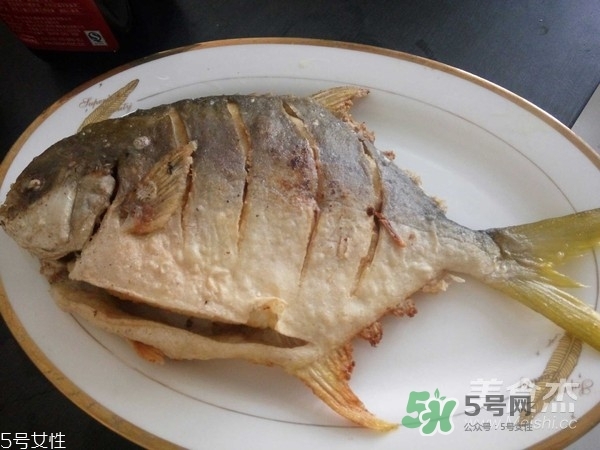 金鯧魚是海魚嗎？金鯧魚的刺多嗎？
