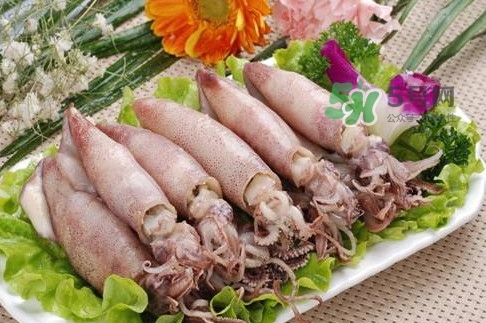 筆管魚是魷魚嗎？筆管魚和魷魚的區別