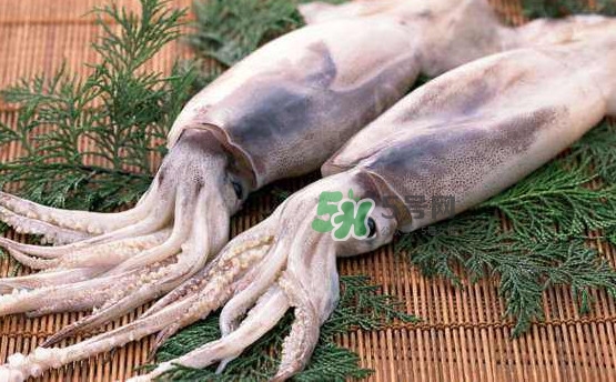 魷魚和雞蛋可以同時食用？魷魚不能和什么一起吃