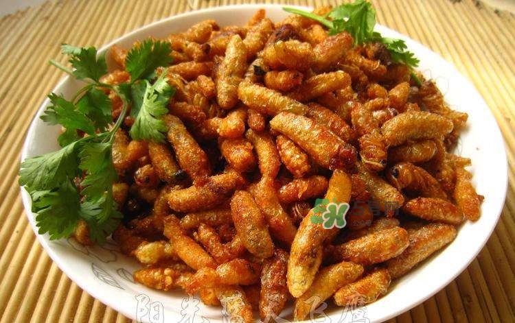 蜂蛹可以生吃嗎？蜂蛹的營養價值