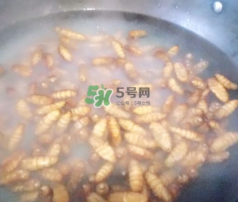 蜂蛹怎么保存？蜂蛹怎么做好吃？