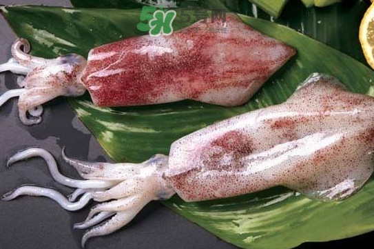 新鮮魷魚怎么處理？魷魚怎么清洗？