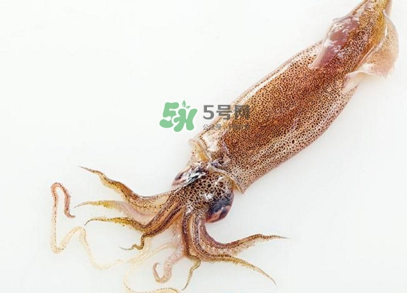 魷魚要焯水嗎？魷魚怎樣焯水