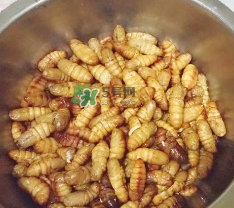 蜂蛹怎么保存？蜂蛹怎么做好吃？