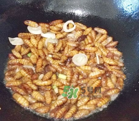 蜂蛹怎么保存？蜂蛹怎么做好吃？