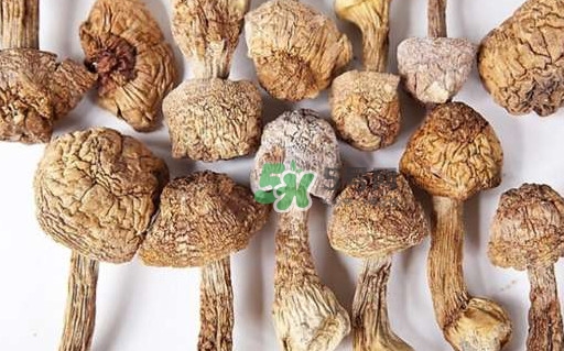 干松茸要泡多久？干松茸用冷水泡還是溫水泡好