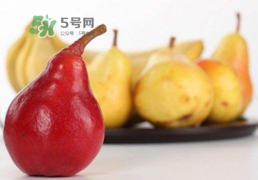 香蕉梨怎么熟的快？香蕉梨怎么變軟？