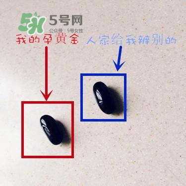 blackmores澳佳寶真假辨別_blackmores澳佳寶真偽查詢