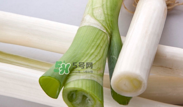 大蔥是怎么種出來的？大蔥是發物嗎