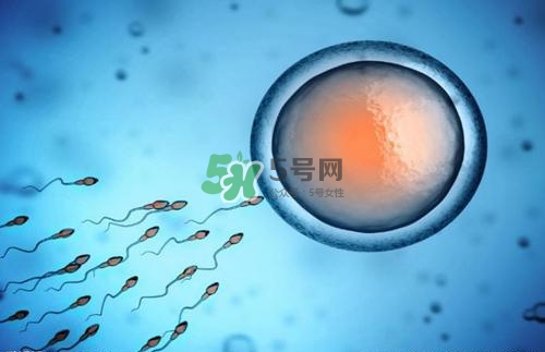 精子在女性體內可以存活多久？男性的精子會枯竭嗎？