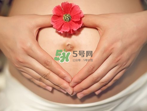 秋天孕婦可以吃絲瓜嗎？秋天孕婦吃絲瓜好嗎？