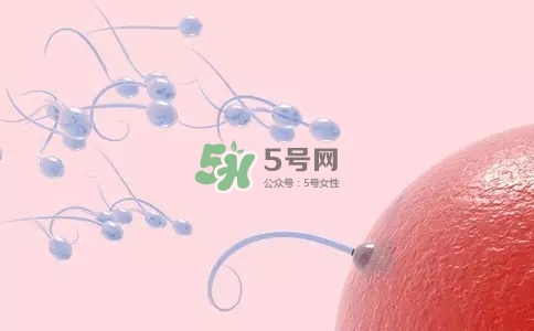 精子在女性體內可以存活多久？男性的精子會枯竭嗎？