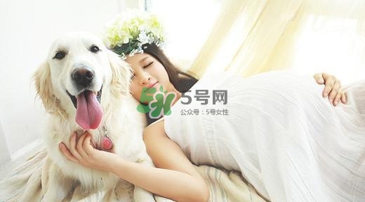 孕婦不能養(yǎng)寵物嗎？為什么孕婦不能養(yǎng)寵物？