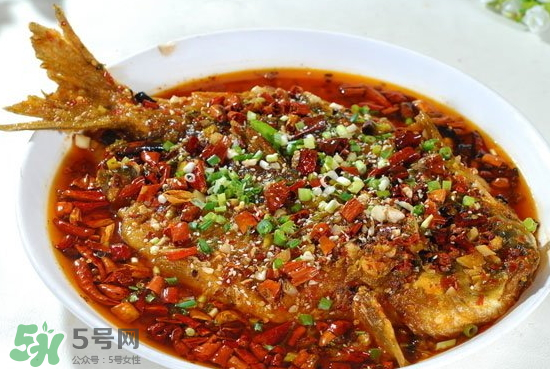 黑魚能愈合傷口嗎？黑魚為什么對(duì)傷口愈合？