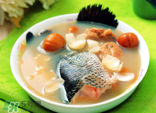 黑魚能愈合傷口嗎？黑魚為什么對(duì)傷口愈合？