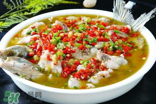 鯉魚可以做水煮魚嗎？水煮鯉魚的做法