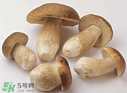 牛肝菌要泡發多久？牛肝菌怎么清洗