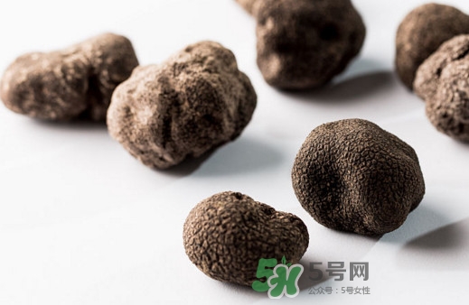 松露對女人有什么好處？松露對男人有什么好處