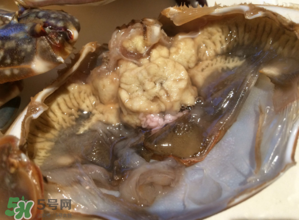 梭子蟹是野生的嗎？梭子蟹養的還是野生的？