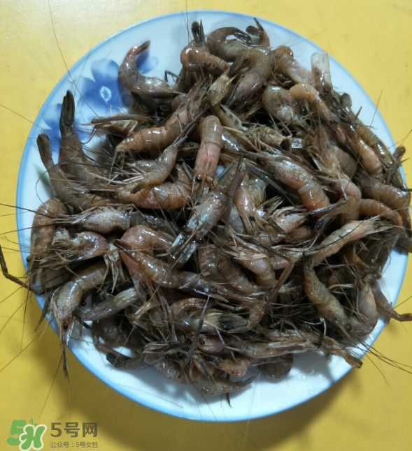 河蝦是發物嗎？河蝦是不是發物？