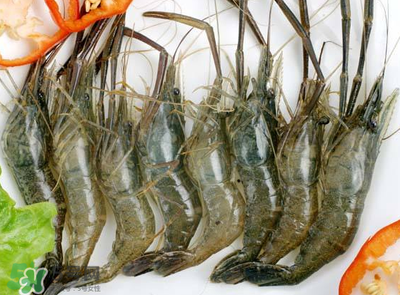 河蝦是海鮮嗎？河蝦屬于海鮮嗎？