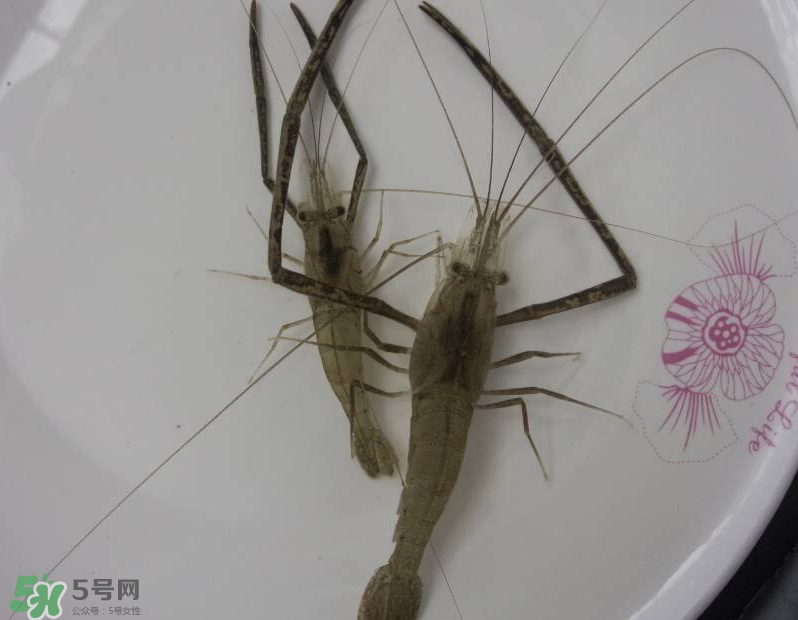 河蝦可以和牛奶同食嗎？河蝦和牛奶能一起吃嗎？