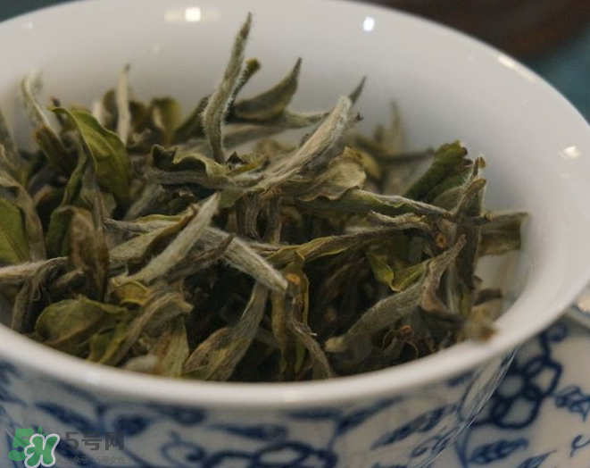 白茶需要洗茶嗎？白茶是洗還是不洗？