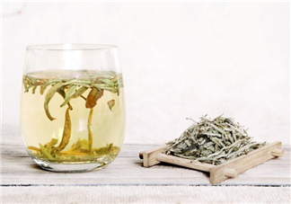 白毫銀針屬于綠茶嗎？白毫銀針是什么茶？