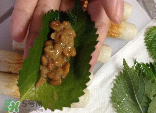 納豆是豆鼓嗎？納豆和豆豉的區別