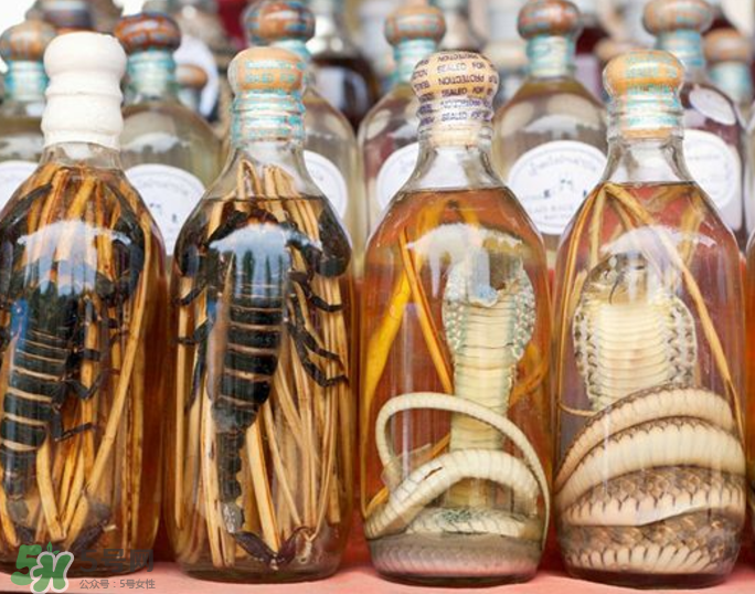 毒蛇泡酒有毒嗎？毒蛇泡酒能喝嗎？