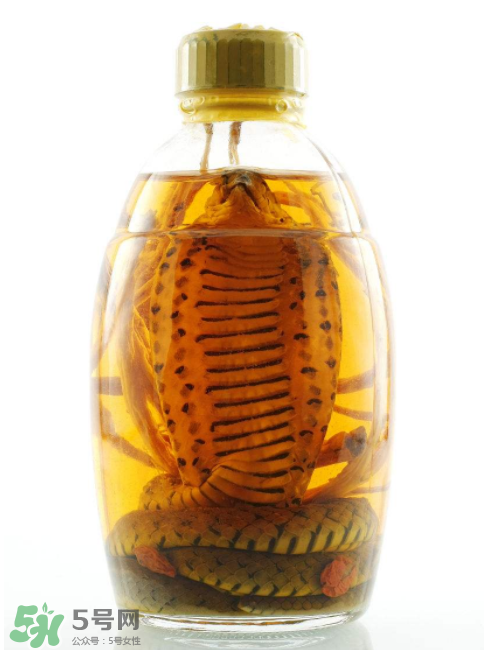 毒蛇泡酒有毒嗎？毒蛇泡酒能喝嗎？
