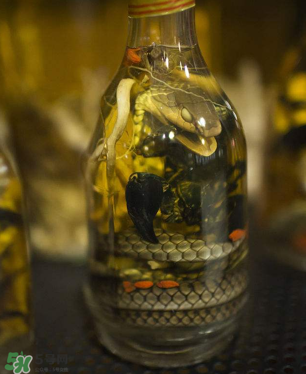 毒蛇泡酒有毒嗎？毒蛇泡酒能喝嗎？