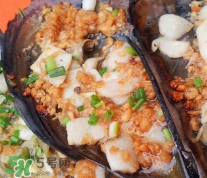 帶子是什么海鮮？帶子是什么東西