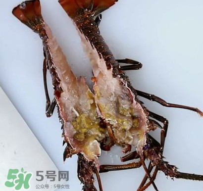 4斤的波士頓龍蝦多少錢？波士頓龍蝦怎么處理