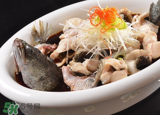 黑魚怎么殺不滑？黑魚為什么又被叫做財魚