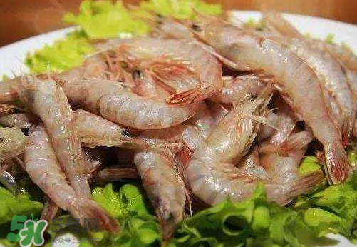 青蝦的營養價值 青蝦的功效與作用