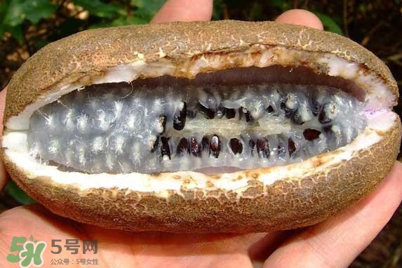 八月瓜能吃嗎？八月瓜到底有什么價值？